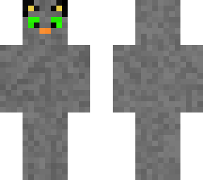 my cat