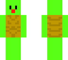 turtle