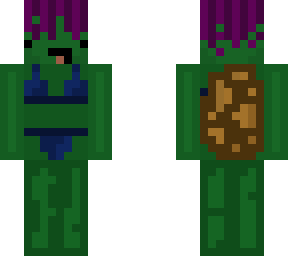 turtle with hair