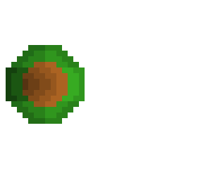 an avocado