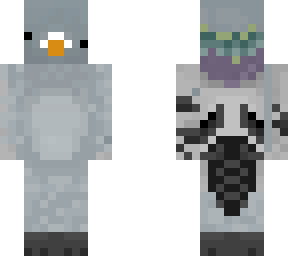 derpy pidgeon