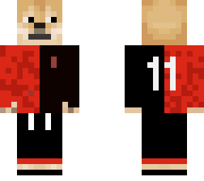 newells skin  (dog)