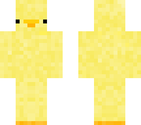 a duck