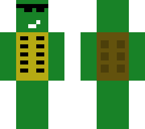 cool turtle