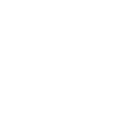 nose