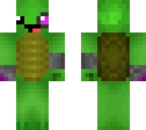 science turtle