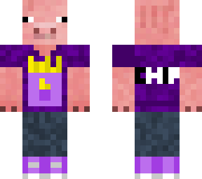 pigchip2.0