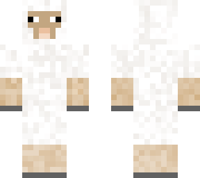 sheep