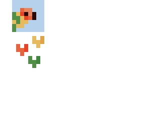 shoutout #12 - birblover