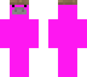 zeekoter