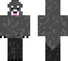 racoon