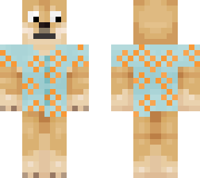 hawaiian doge