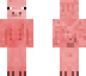 pig