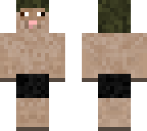 sheep