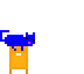 the cat is awake