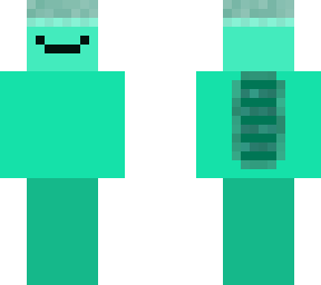 turtle man