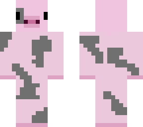 cute pig