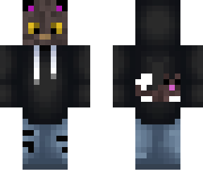 cat in a hoodie