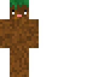 the dirt block