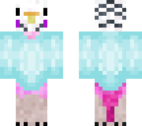 budgie with a sweater