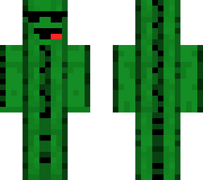 coolguy cactus
