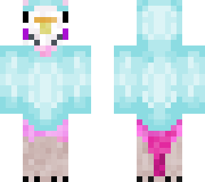 ok budgie with sweater and hood okok