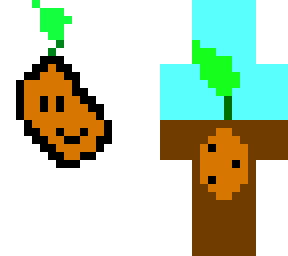 potato private sprout skin