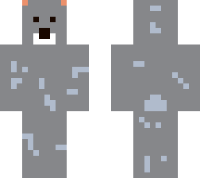 cute koala