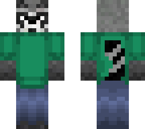 raccoon dude