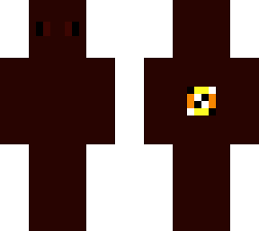 skin for zsg