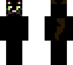 shadow the cat