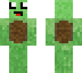 turtle boi