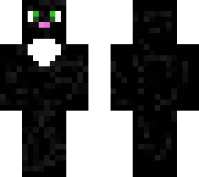 black cat (huckelberry)