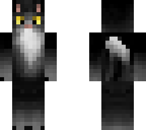 black cat