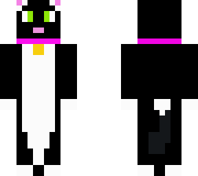 black cat