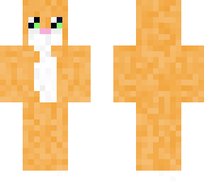 ginger cat