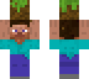 grass steve