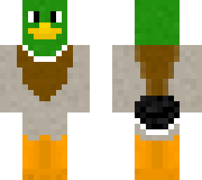 i love ducks