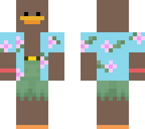 summer duck 2