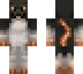 black berkshire rat