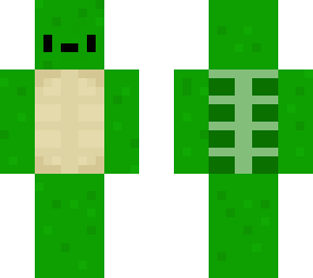cute turtle