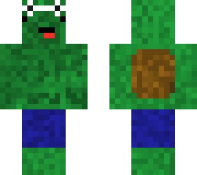 durpy summer turtle