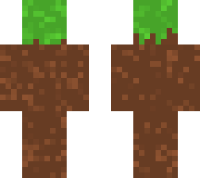 grass......^.^