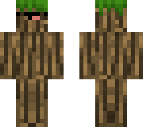 mistercactus