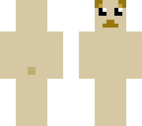 plain noodlebear