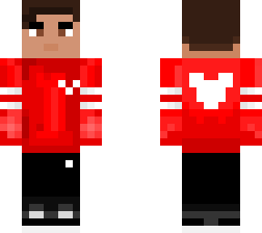redwing disney spirit jersey