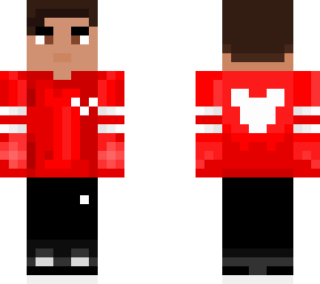 redwing disneyland spirit jersey