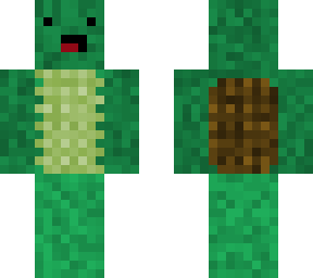 turtle