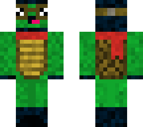 turtle pilot