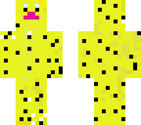 cheetah